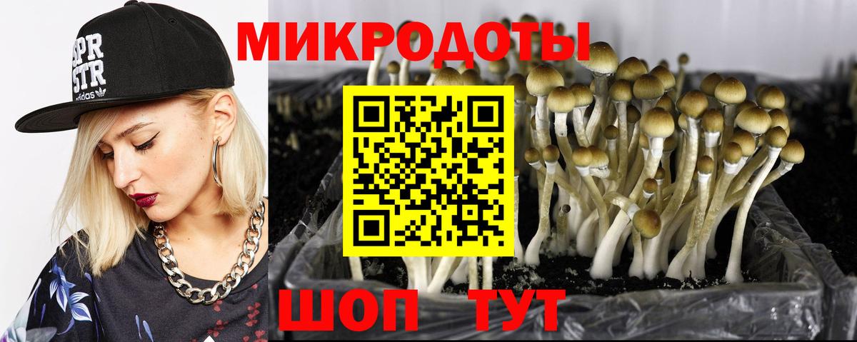 Кирово-Чепецк  Псилоцибиновые грибы мухоморы  Вход с VPN  купить наркоту  Псилоцибиновые грибы Magic Shrooms 
